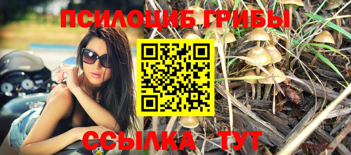 Галлюциногенные грибы Psilocybine cubensis  Псилоцибиновые грибы мицелий  Вход с VPN  Тулун 