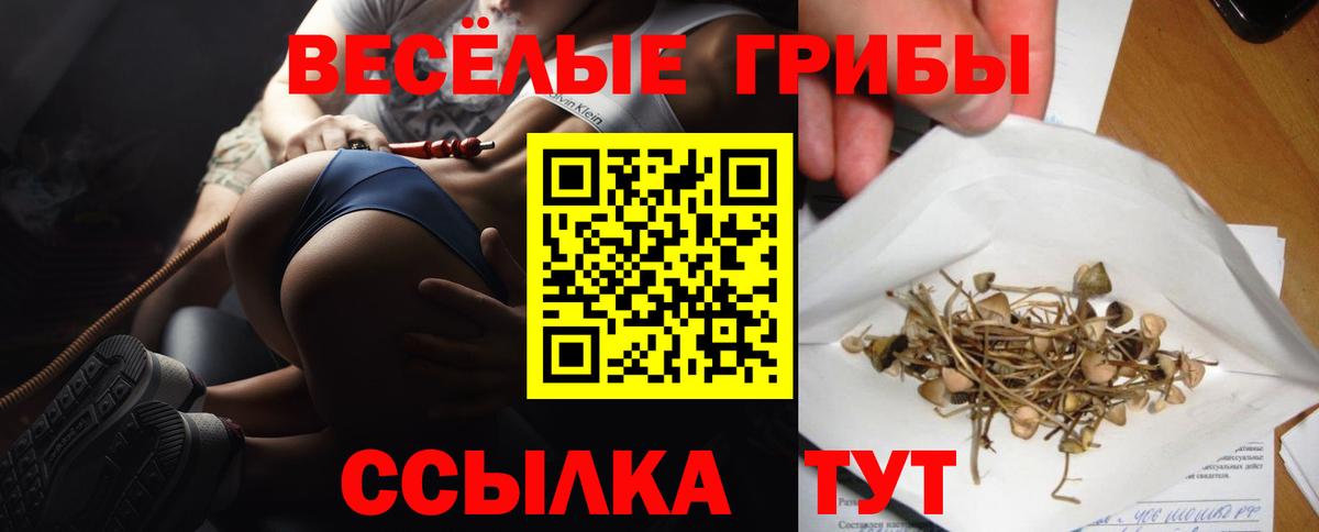 Псилоцибиновые грибы Psilocybine cubensis Тулун